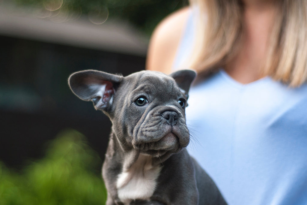 Neque porro quisquam est qui dolorem ipsum