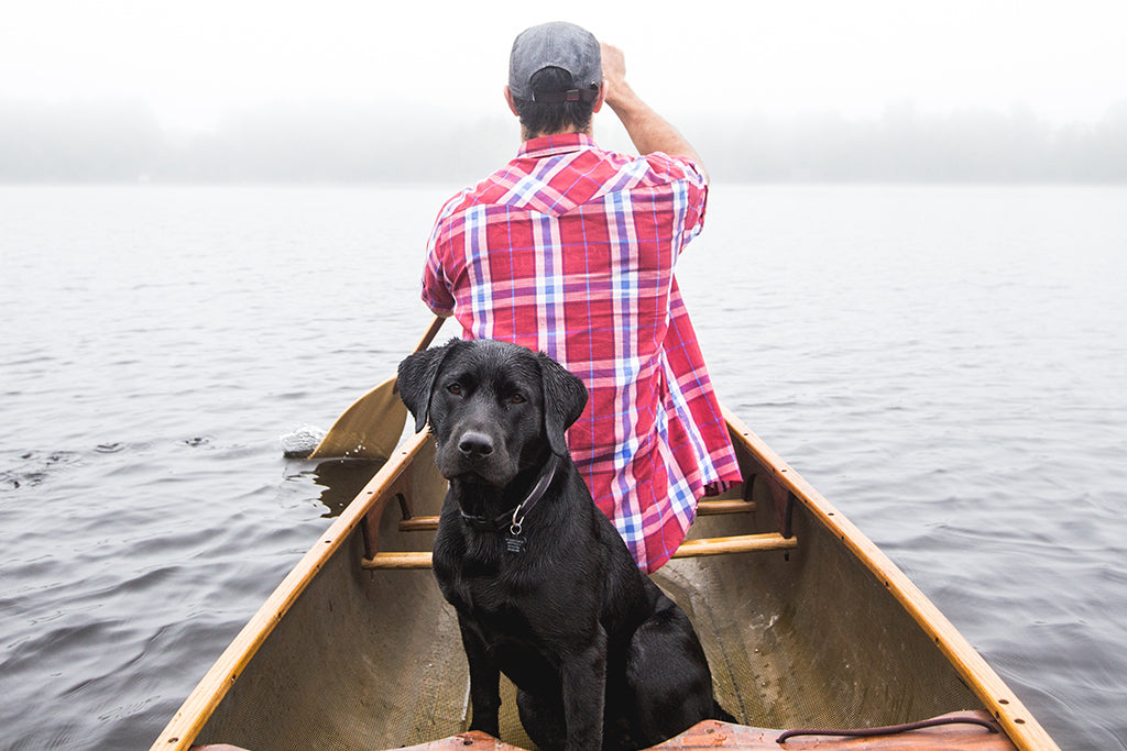 El trozo de texto estándar de Lorem Ipsum