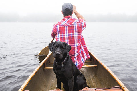 El trozo de texto estándar de Lorem Ipsum