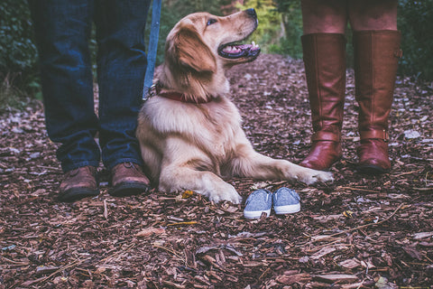 Es un hecho establecido hace demasiado